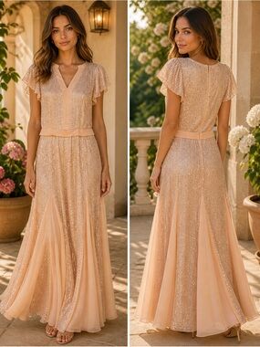 Sequin Chiffon Maxi Dress - Blush